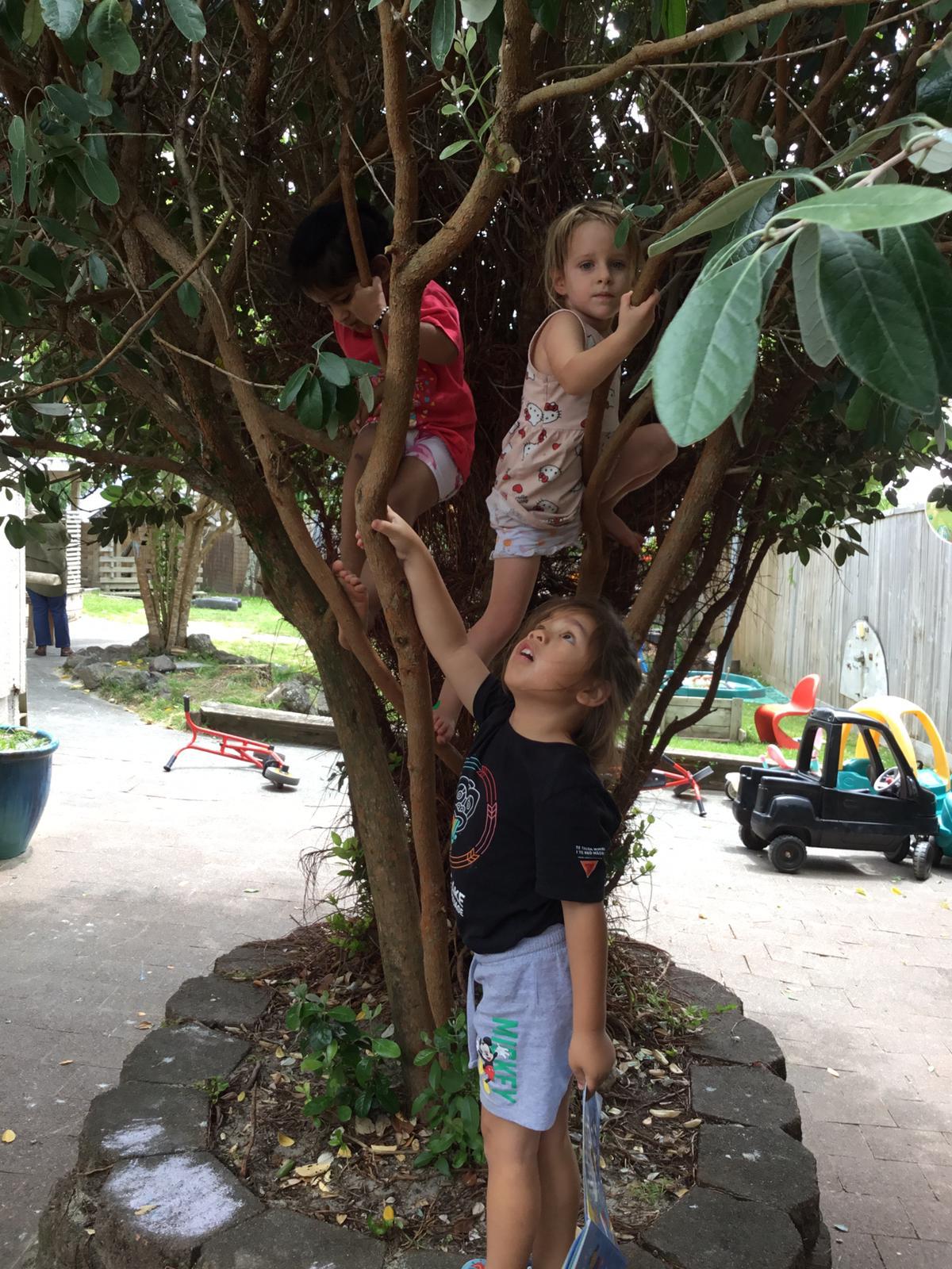 Preschool children and educators together during the day